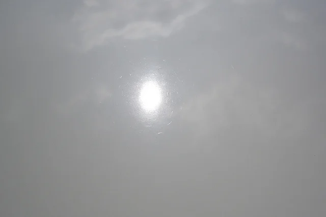 6110749396_20977200a0_z.webp