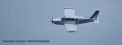 6130772404_4060622594.webp