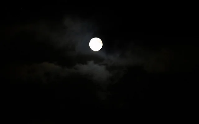 6141648899_be93cf2fb5_z.webp