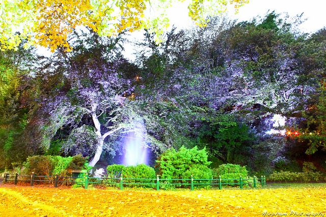 6198846386_016e4688ce_z.jpg