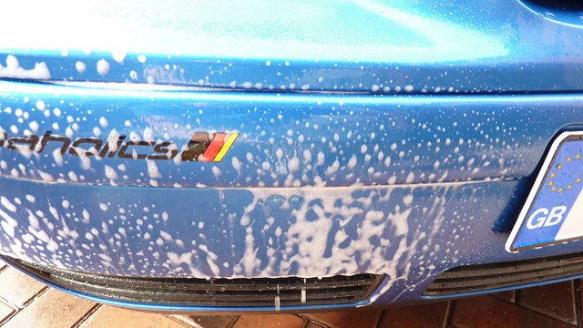 6201962396_3d21843590_z.webp