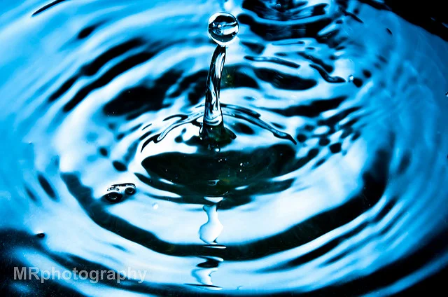 6213520875_4ee3dd9033_z.webp