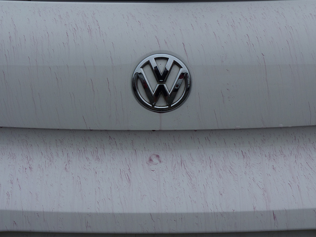 6223105865_412da8c300_z.jpg 6223105865_412da8c300_z.jpg