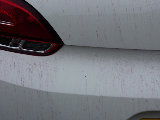 6223109277_d1578af700_z.jpg 6223109277_d1578af700_z.jpg