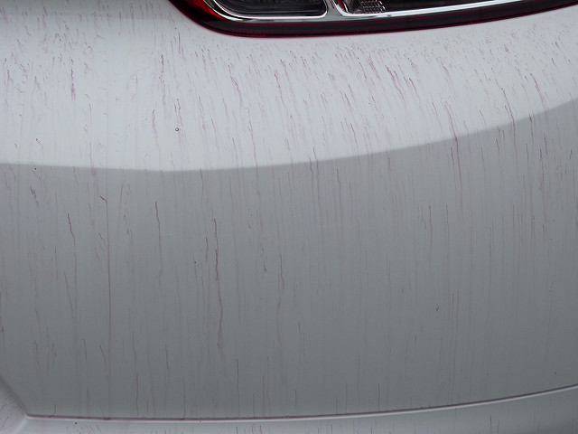 6223110709_d8bcebbbbf_z.jpg 6223110709_d8bcebbbbf_z.jpg