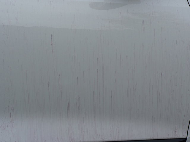 6223619392_bae095fde7_z.jpg 6223619392_bae095fde7_z.jpg