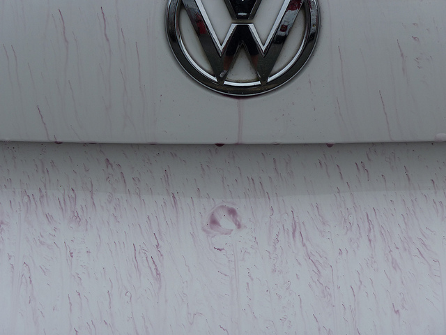 6223627262_ea529e140c_z.jpg 6223627262_ea529e140c_z.jpg