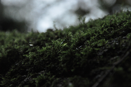 6259055162_10c992e056.jpg
