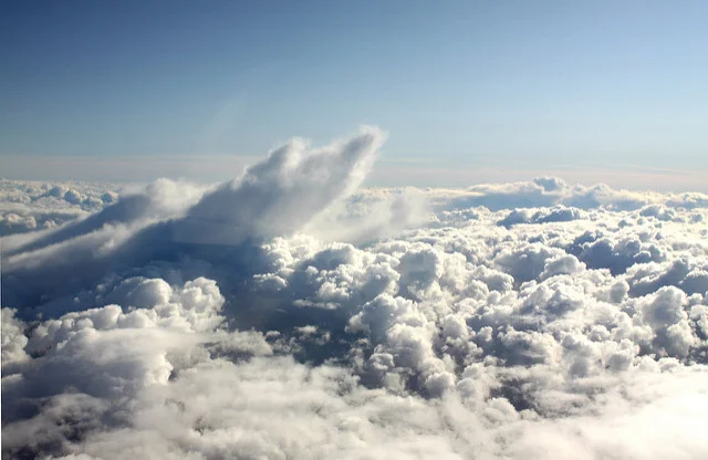 6266802930_5fa26b1394_z.webp
