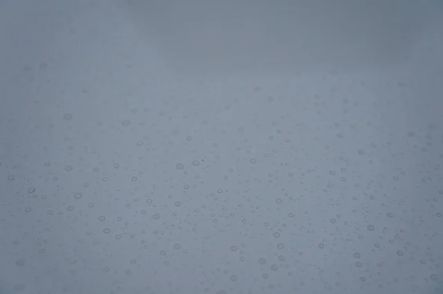 6291697183_073ceee37f_z.webp