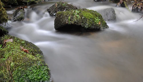 6295078461_69d48d55d2.webp