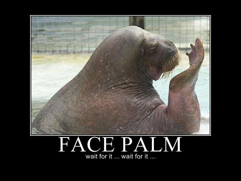 633761899407989620-facepalm.webp