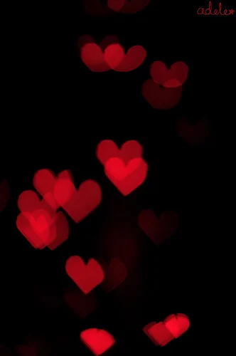 6460862875_e7d7cee296.webp