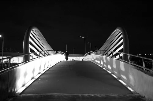 6762134495_6f1a4bdf72.webp