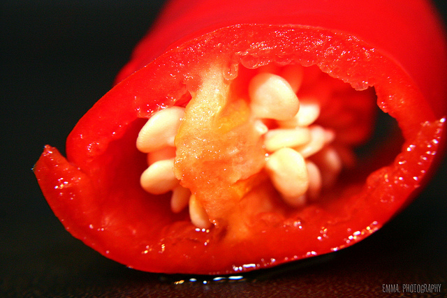 6777983471_45acaf0ed5_z.jpg