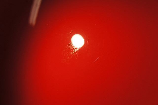 6785407979_99edb7978f_z.jpg 6785407979_99edb7978f_z.jpg