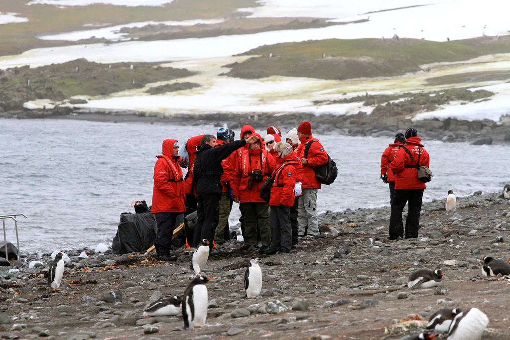 6816316730_1358400b2f_b.webp