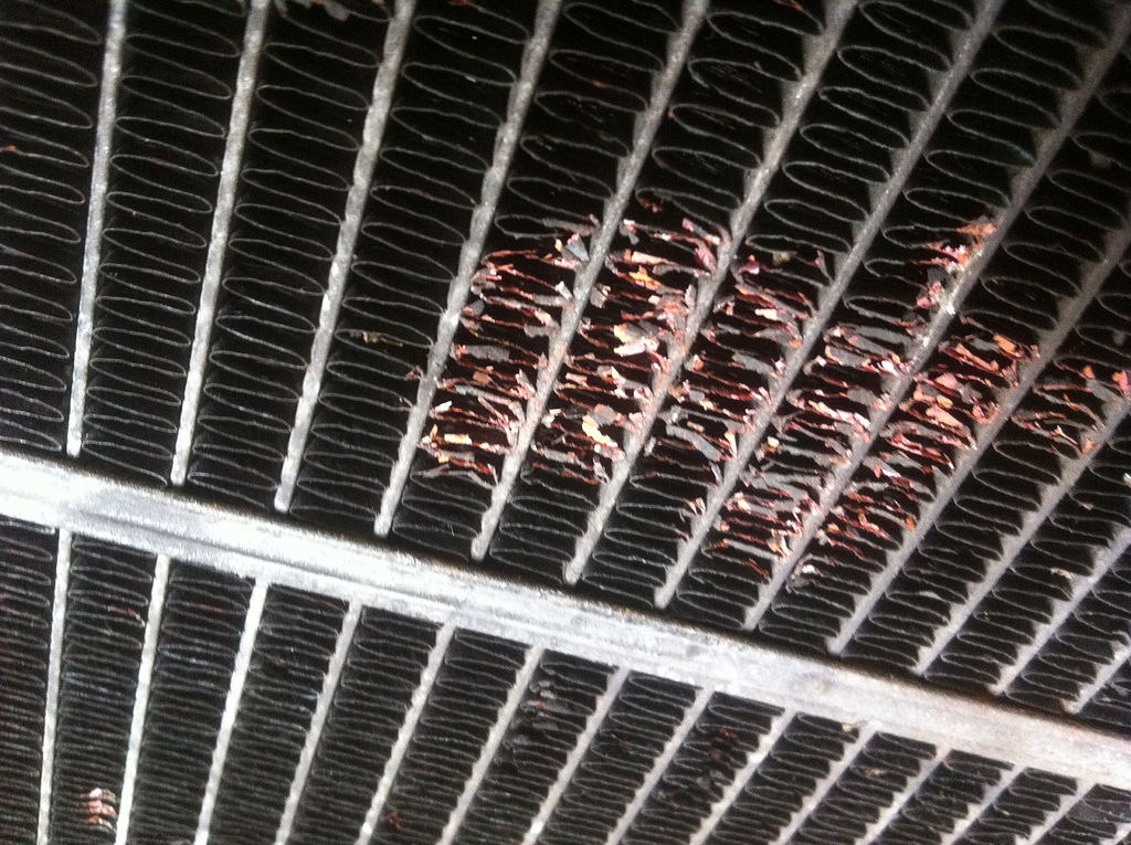 6817767162_ec37732d3e_b.jpg