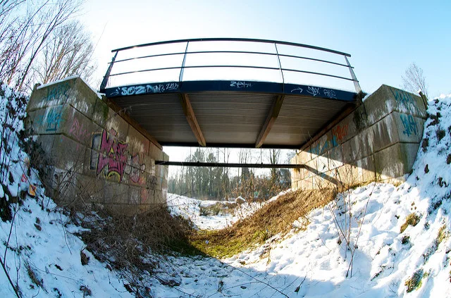 6835070817_bb606d6203_z.webp