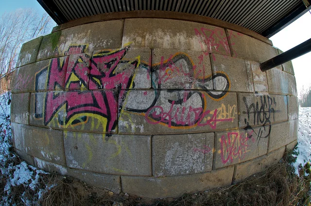 6835071547_1f93418fa6_z.webp