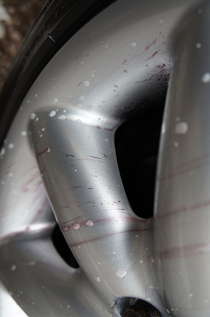 6863648423_7a558fb099_z.jpg 6863648423_7a558fb099_z.jpg