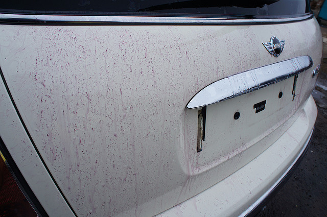 6863734025_067fa99cbe_z.jpg 6863734025_067fa99cbe_z.jpg