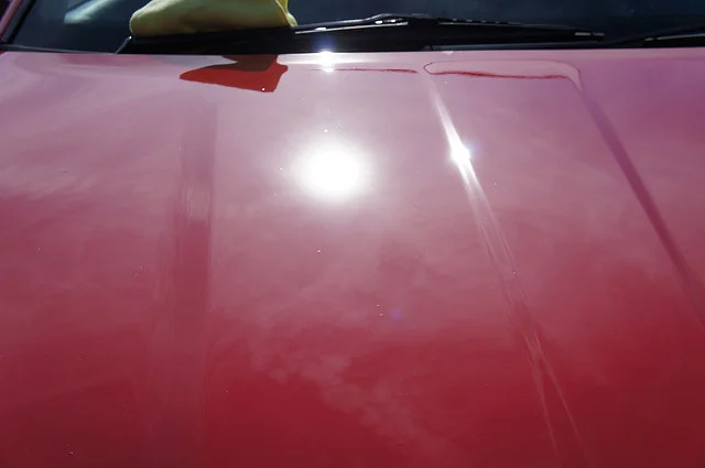 6869620112_df94c85956_z.webp