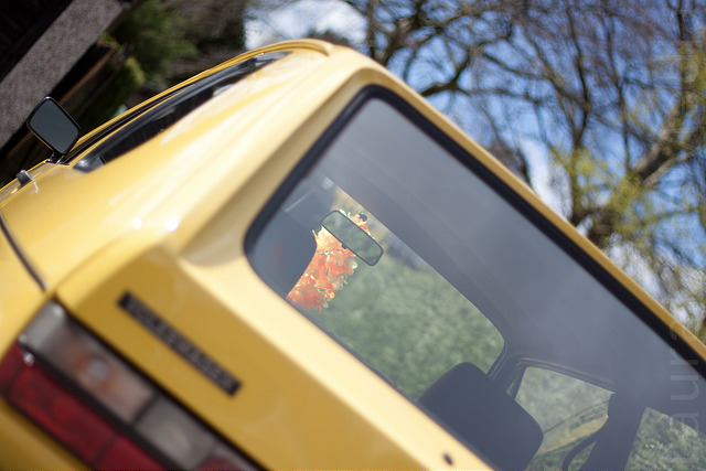 6933871020_e47f6611c8_z.jpg 6933871020_e47f6611c8_z.jpg