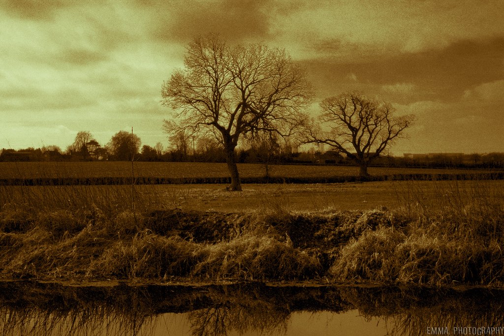 6941097439_9e4ed24b02_b.jpg