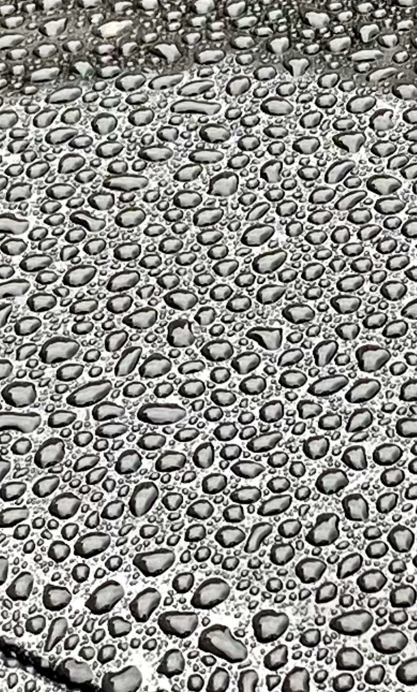 6DD7845E-D5E0-413E-836D-7D48F95C40D9.webp