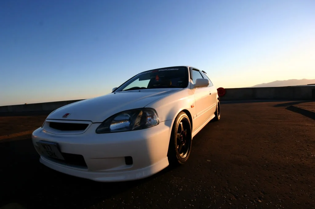 7.webp