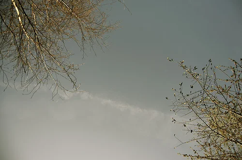 7015220673_288ec116fa.webp