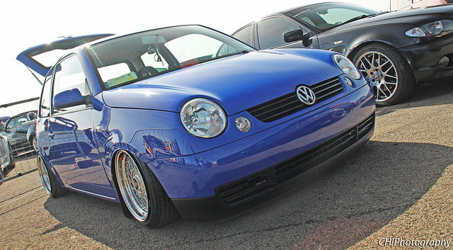 7015268169_a4bd4983b0_z.jpg 7015268169_a4bd4983b0_z.jpg