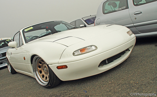 7015268585_aa7f78af87_z.jpg 7015268585_aa7f78af87_z.jpg