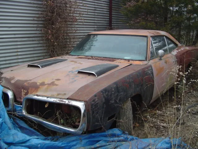 7020Super20Bee202.webp
