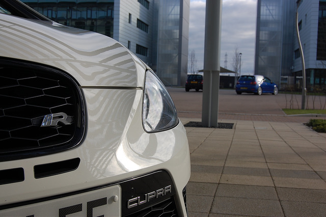 7036457281_37f82564ec_z.jpg 7036457281_37f82564ec_z.jpg