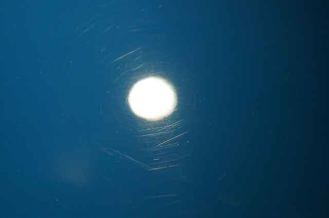 7096969927_f4e045d955_z.jpg