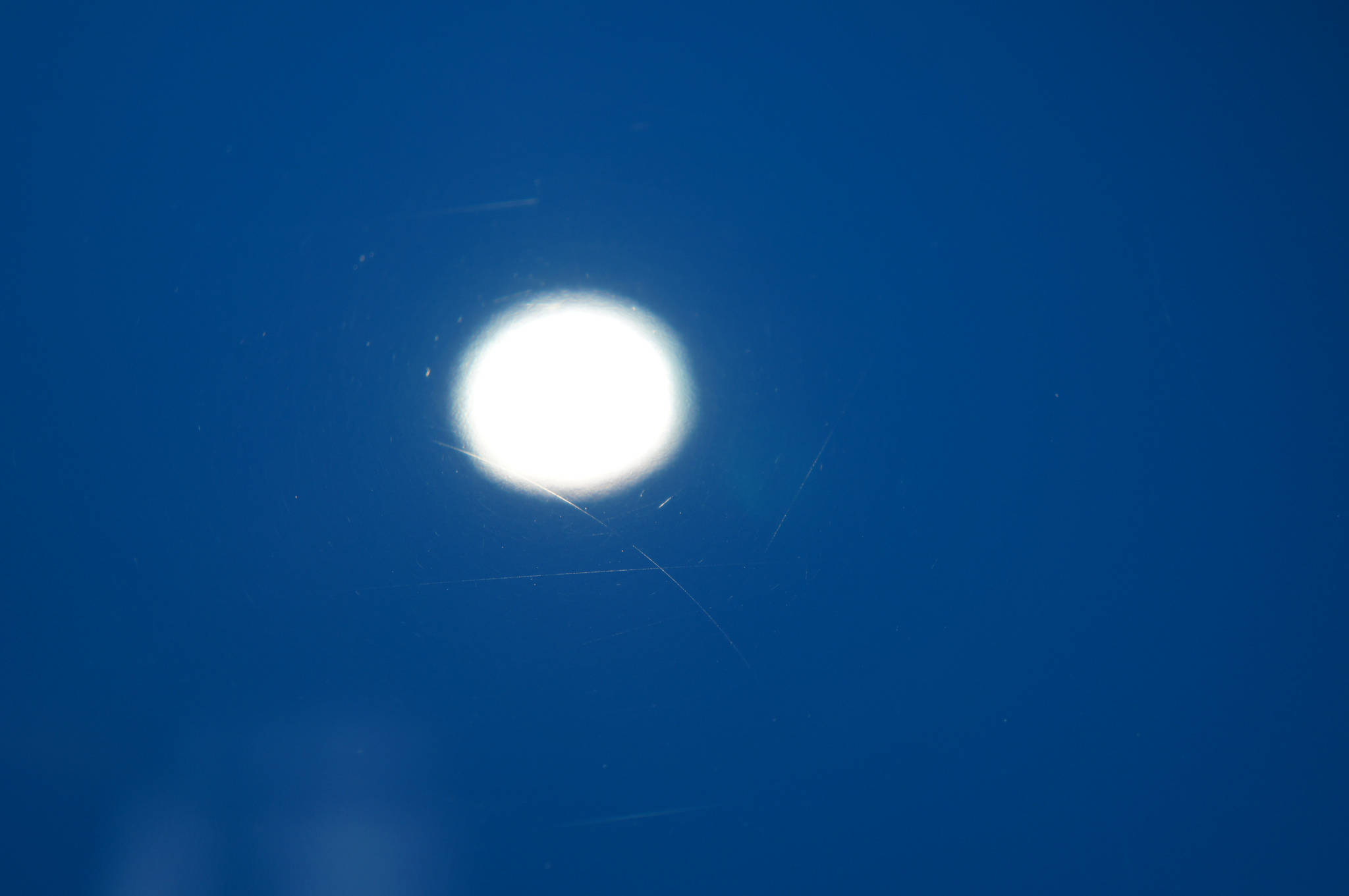 7096970131_d29d9e4531_z.jpg