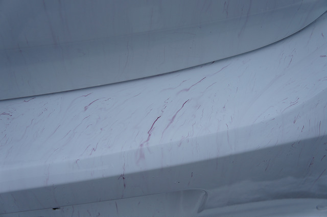 7184044834_3ea5ce0090_z.jpg 7184044834_3ea5ce0090_z.jpg