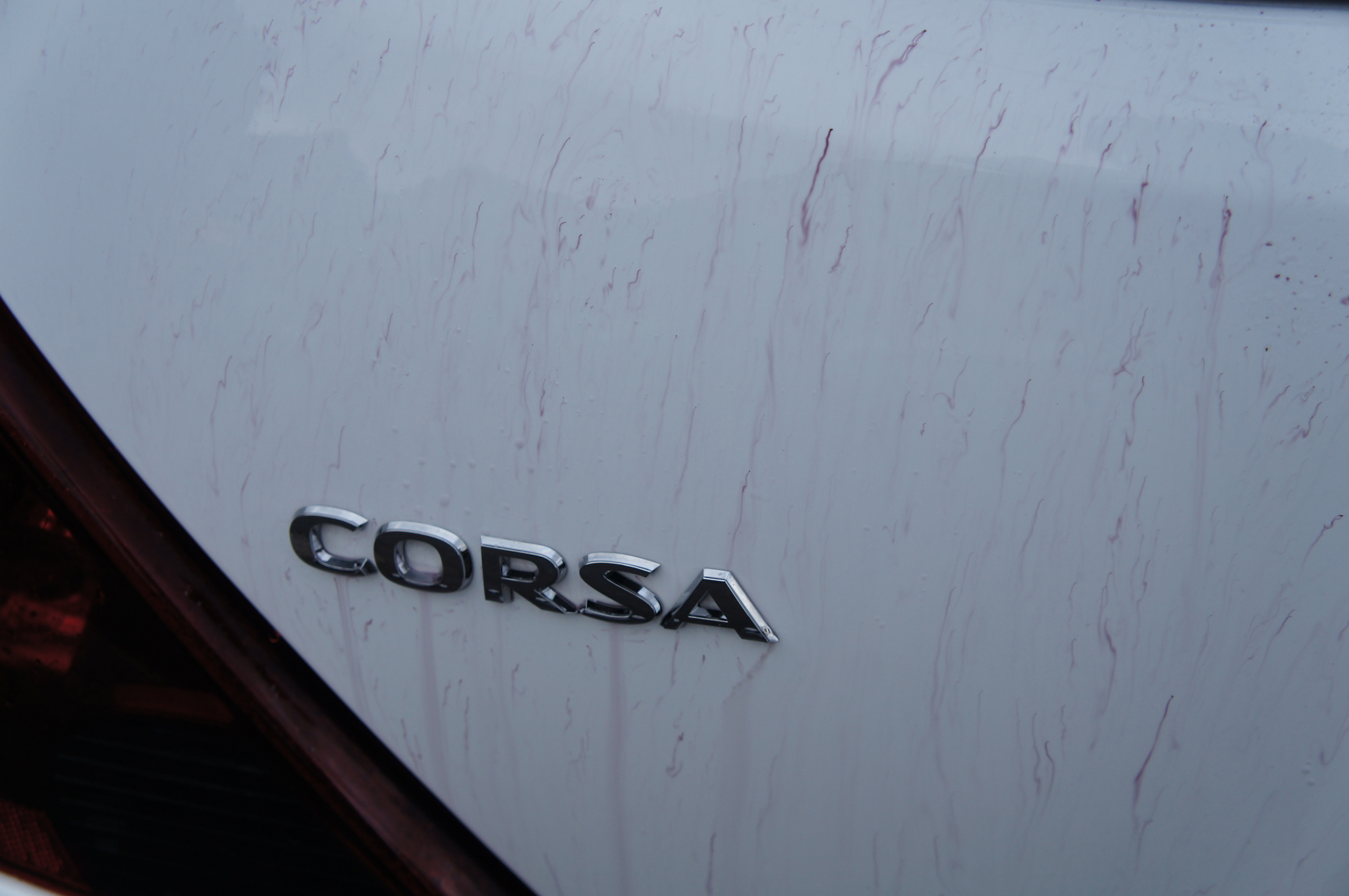 7184045760_30e598d81e_z.jpg 7184045760_30e598d81e_z.jpg