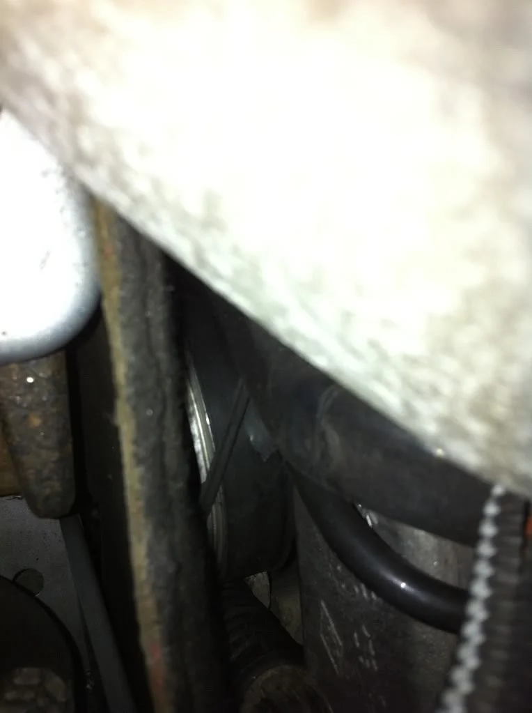 71e55823.webp