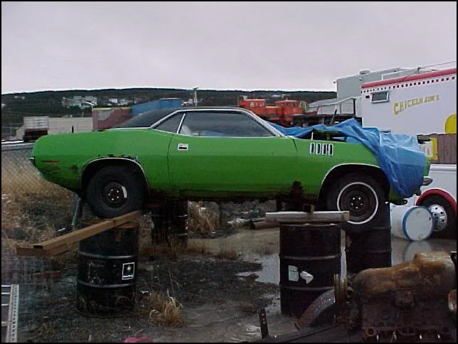71LIME6PKB.webp