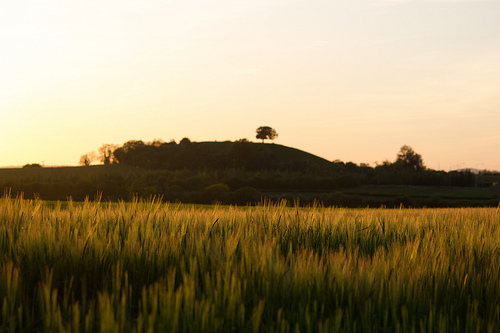 7211494358_abcfff9077.jpg 7211494358_abcfff9077.jpg