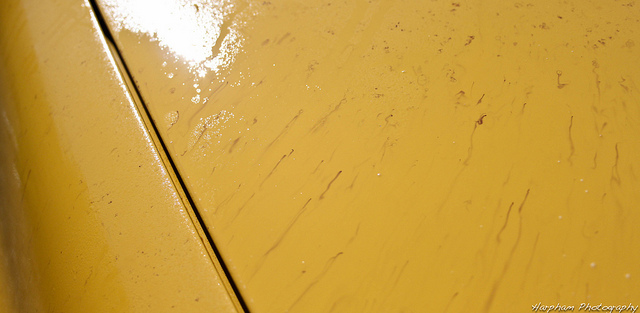 7282062596_6895b6be75_z.jpg 7282062596_6895b6be75_z.jpg