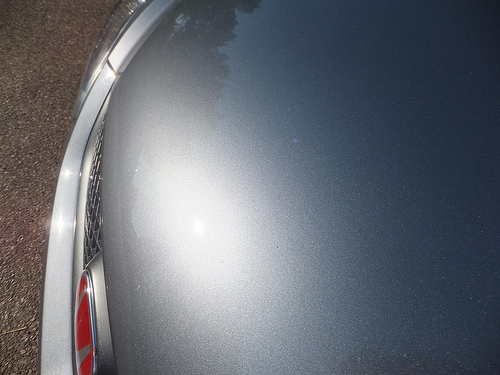 7285224060_40782d77cc.jpg 7285224060_40782d77cc.jpg