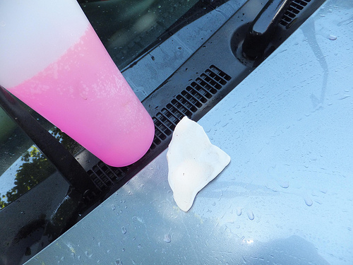 7285246324_25f59d9588.jpg 7285246324_25f59d9588.jpg