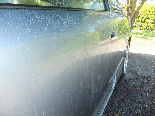 7285248188_1da67e70f5.jpg 7285248188_1da67e70f5.jpg