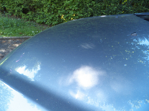 7285522896_97910895b3.jpg 7285522896_97910895b3.jpg