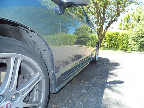 7285527654_500c02dce6.jpg 7285527654_500c02dce6.jpg