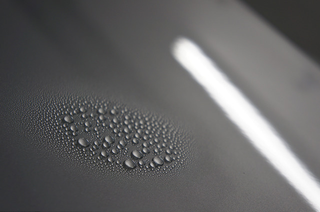 7333875804_7e29e77f44_z.jpg 7333875804_7e29e77f44_z.jpg